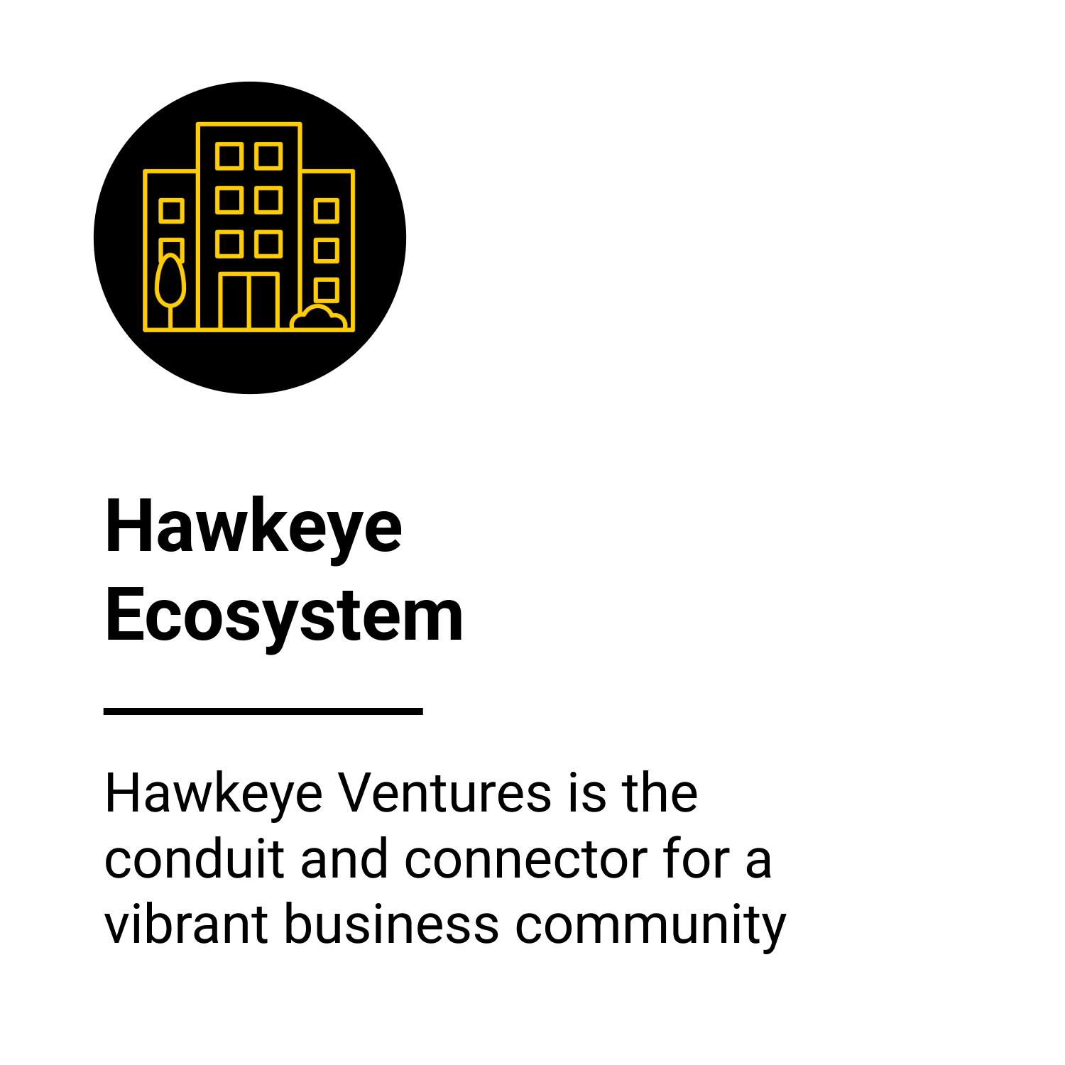 HV-website-8.png