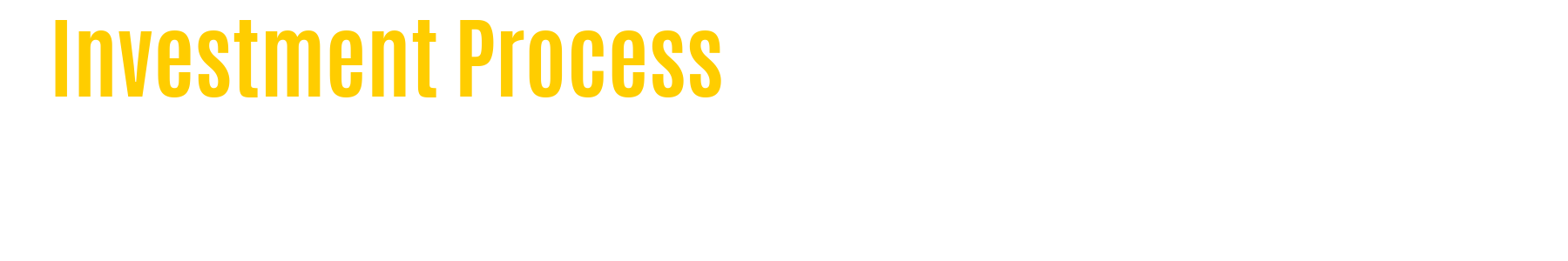 Investment Process